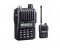 Icom IC-U80